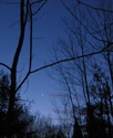 Jupiter and Venus in the early morning sky.