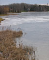 A mere skim of ice on Wildwood Lake.